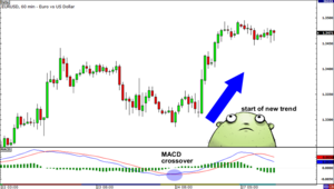 Common Chart Indicators