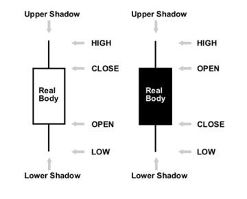Types of Charts