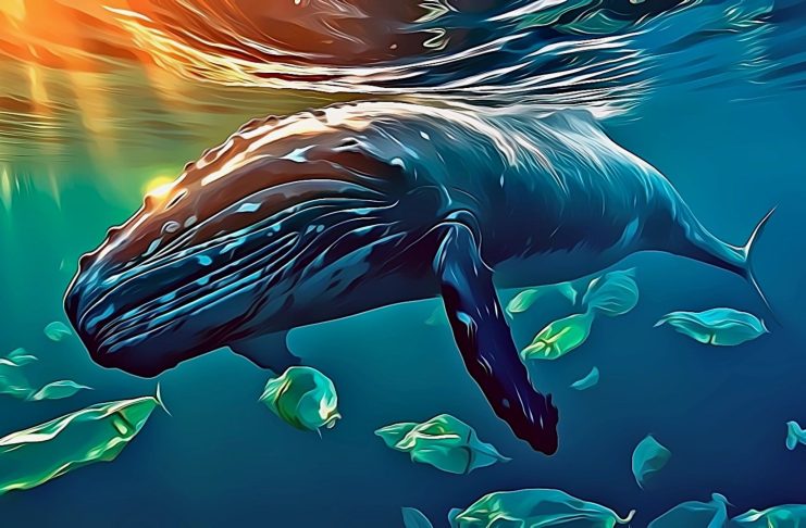 Whales Are Circling: $HYPE Sees Massive Buys as Price Eyes $39.10 Rebound