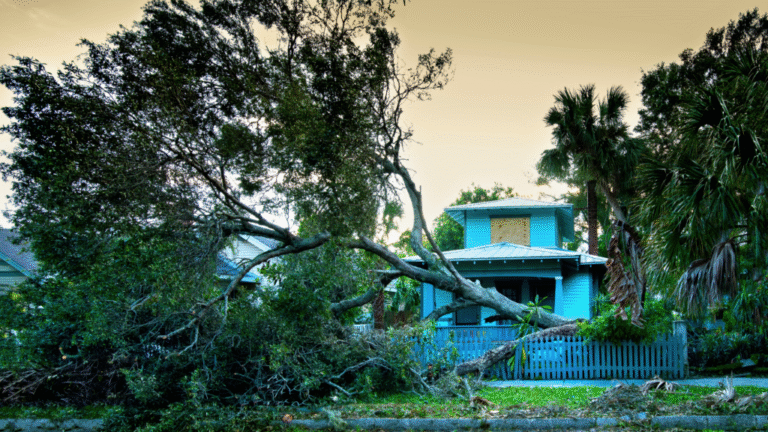 Hurricane-Related Tax Relief: 4 Tips To Weather The Financial Aftermath | Bankrate