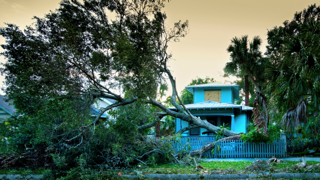 Hurricane-Related Tax Relief: 4 Tips To Weather The Financial Aftermath | Bankrate
