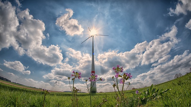 Solar Power Shines: Clean Energy Investments Set to Eclipse Oil in 2023